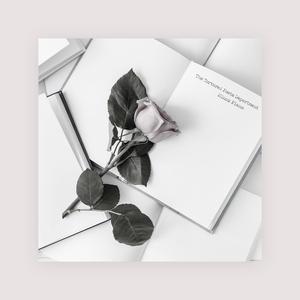 卡戴珊视频门未删减21分钟在线观看
