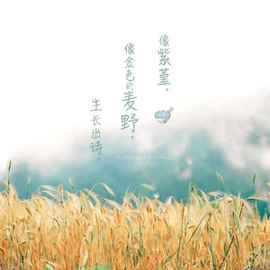 卡戴珊视频门未删减21分钟在线观看
